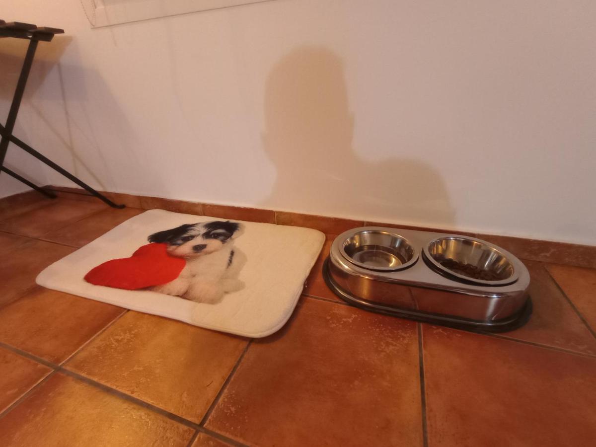 Casa De Campo Los Manueles Ideal Perros Pet Friendly Gojar Exteriör bild