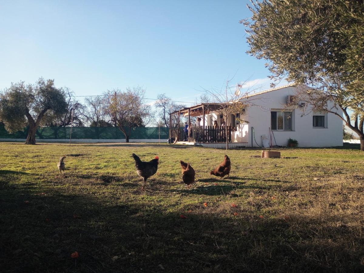 Casa De Campo Los Manueles Ideal Perros Pet Friendly Gojar Exteriör bild