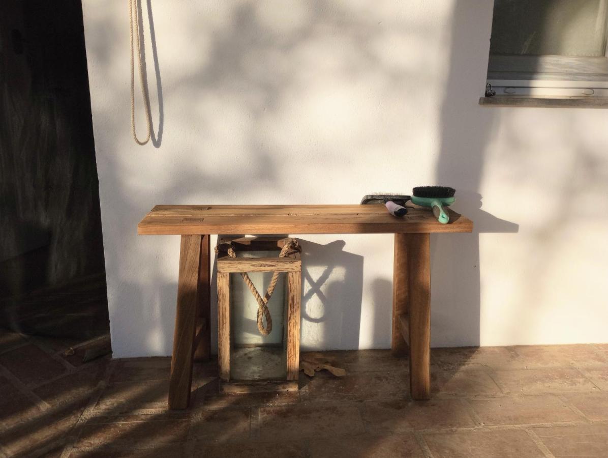 Casa De Campo Los Manueles Ideal Perros Pet Friendly Gojar Exteriör bild