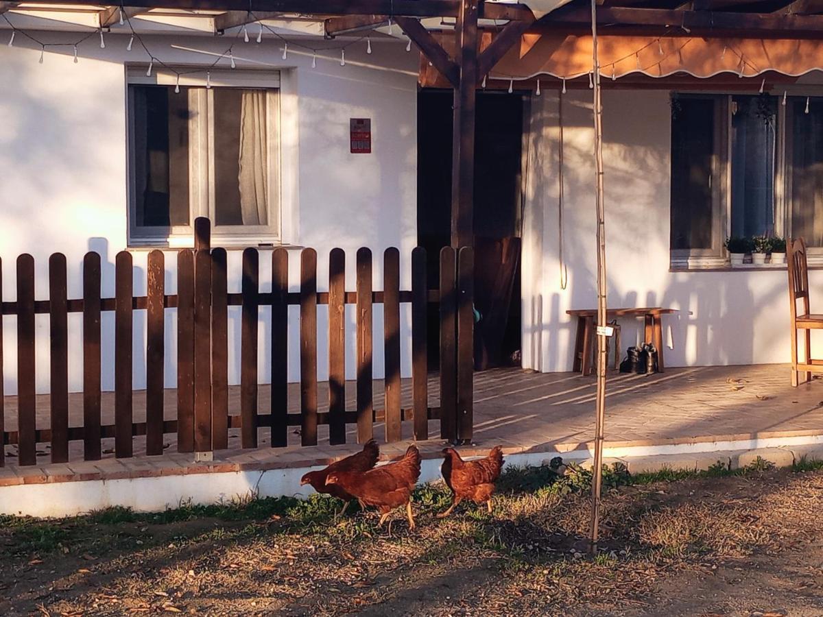 Casa De Campo Los Manueles Ideal Perros Pet Friendly Gojar Exteriör bild