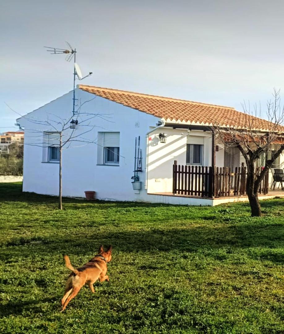 Casa De Campo Los Manueles Ideal Perros Pet Friendly Gojar Exteriör bild