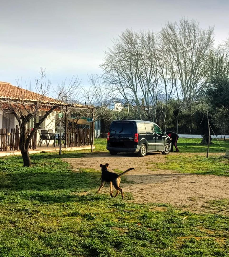 Casa De Campo Los Manueles Ideal Perros Pet Friendly Gojar Exteriör bild