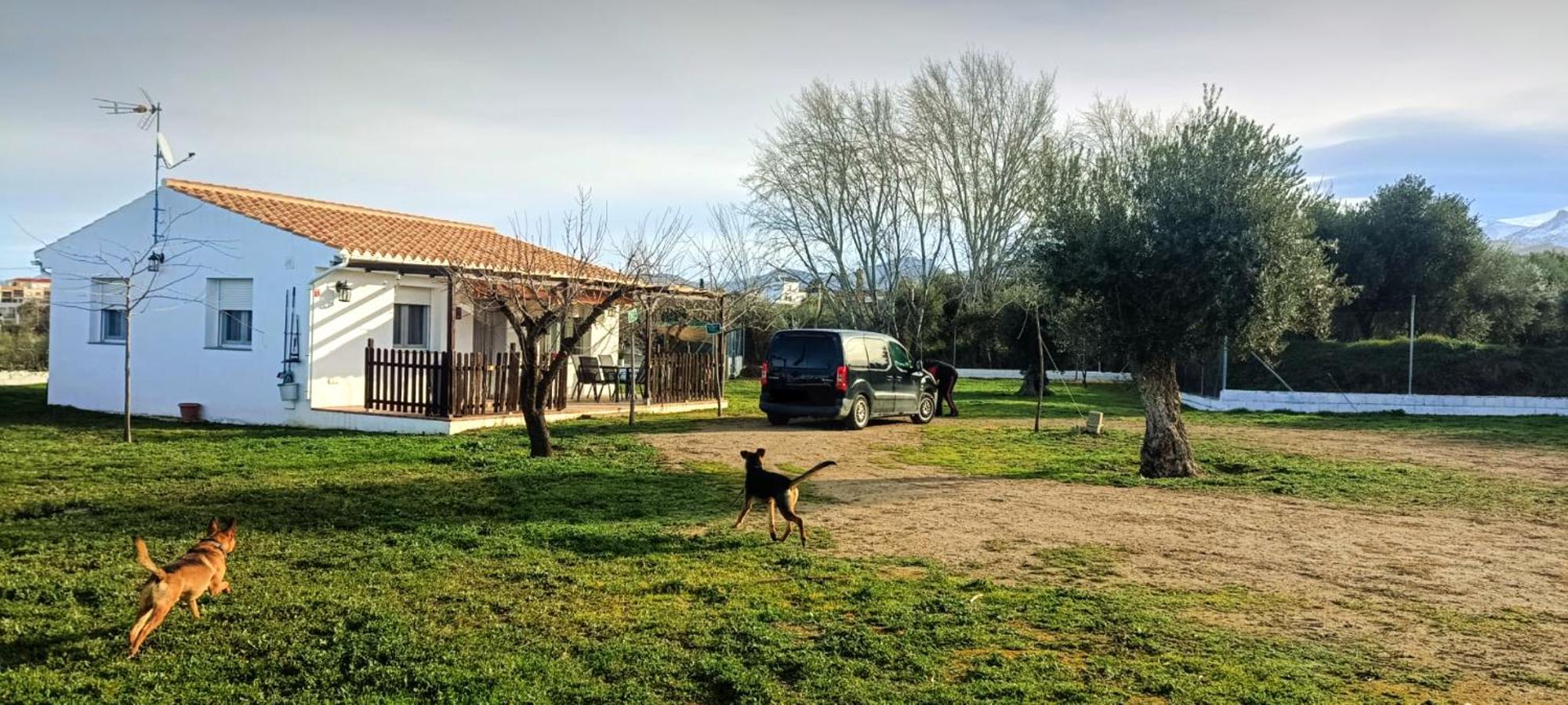 Casa De Campo Los Manueles Ideal Perros Pet Friendly Gojar Exteriör bild